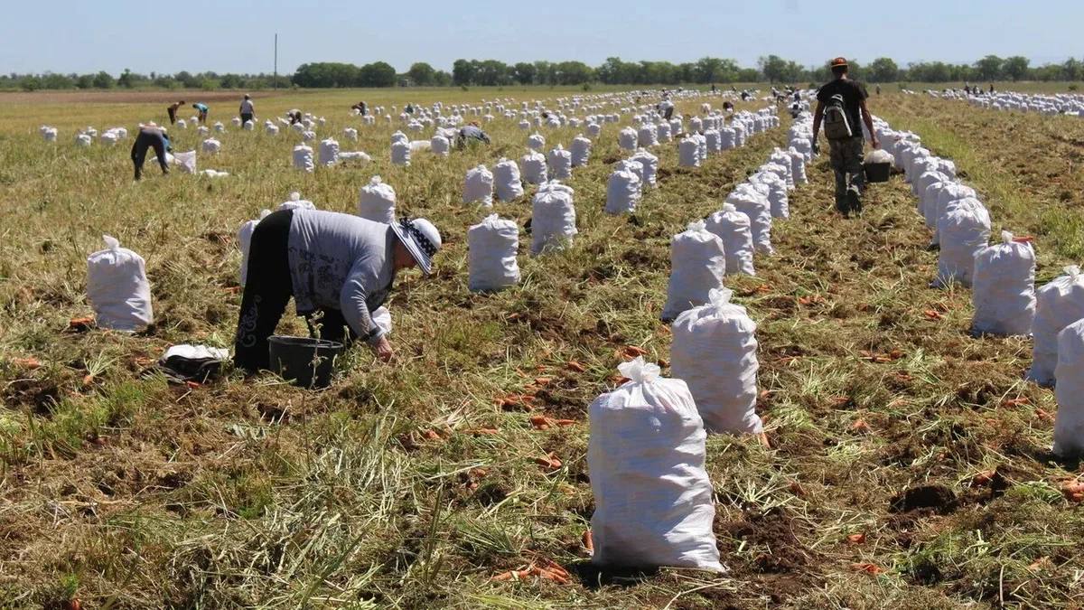 Крымский агропромышленный комплекс: мощная поддержка — уверенное развитие!