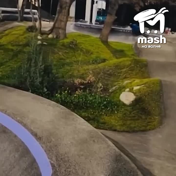 ����������� ������� ������� ���������� � ������� � ������ �� ����� �������� ��������� � ����� � �� ������ ���� �� ������ ��� �� ������