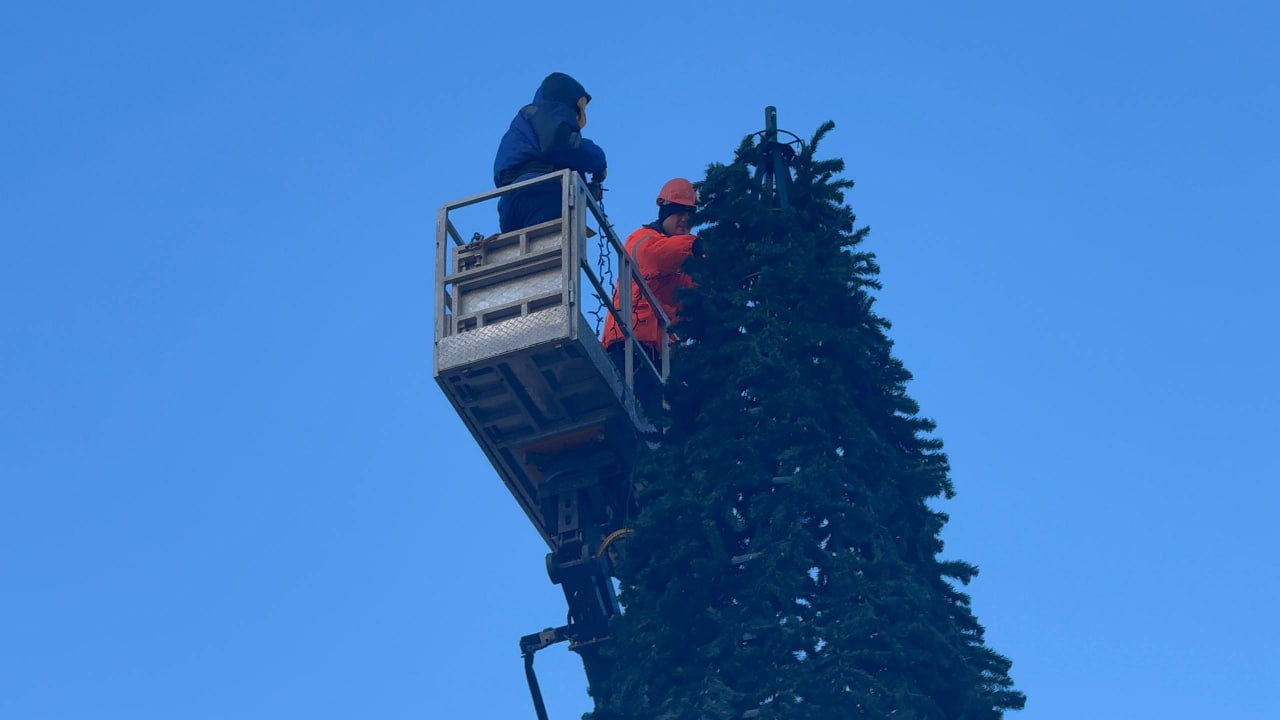 В Керчи приступили к украшению главной городской елки В Керчи приступили к украшению главной городской елки
