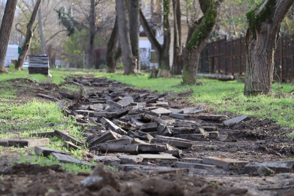 �� ����� �������� ���������� � ������������ ���������