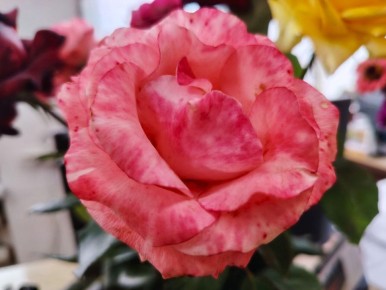 С добрым утром, Армянск!. Пусть новый день начинается легко и с прекрасным настроением! Желаем безоблачного дня, достижения поставленных целей, комфорта и радости! Сегодня в Армянске значительная облачность, t + 5 - +7...