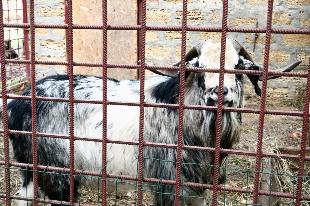 Инна Федоренко: Сегодня посетили парк и бассейн в с. Завет-Ленинский Инна Федоренко: Сегодня посетили парк и бассейн в с. Завет-Ленинский