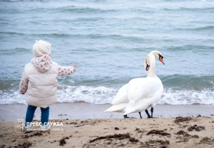 С 4 по 10 декабря первые в жизни документы были выданы 20 новорожденным