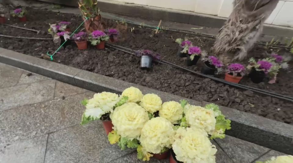 ����� ��������: ��������� ����. �������� ����� � �������, � ����������� ������������!