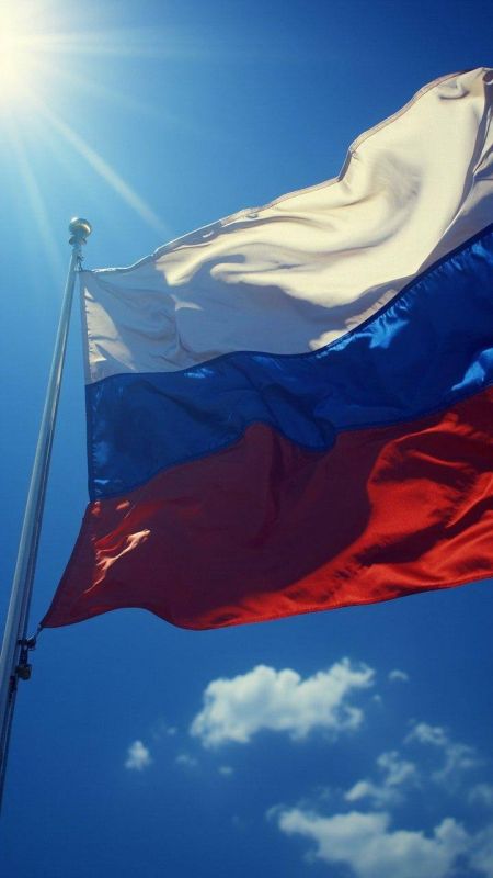 Владимир Немцев: 12 декабря отмечается День Конституции Российской Федерации Владимир Немцев: 12 декабря отмечается День Конституции Российской Федерации