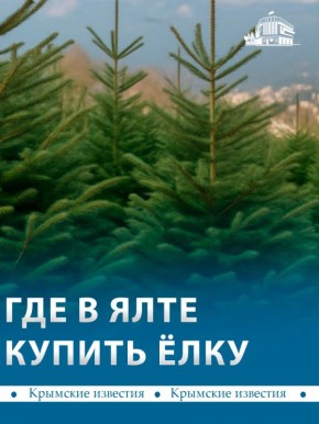 Ёлочные базары откроются в Ялте 15 декабря