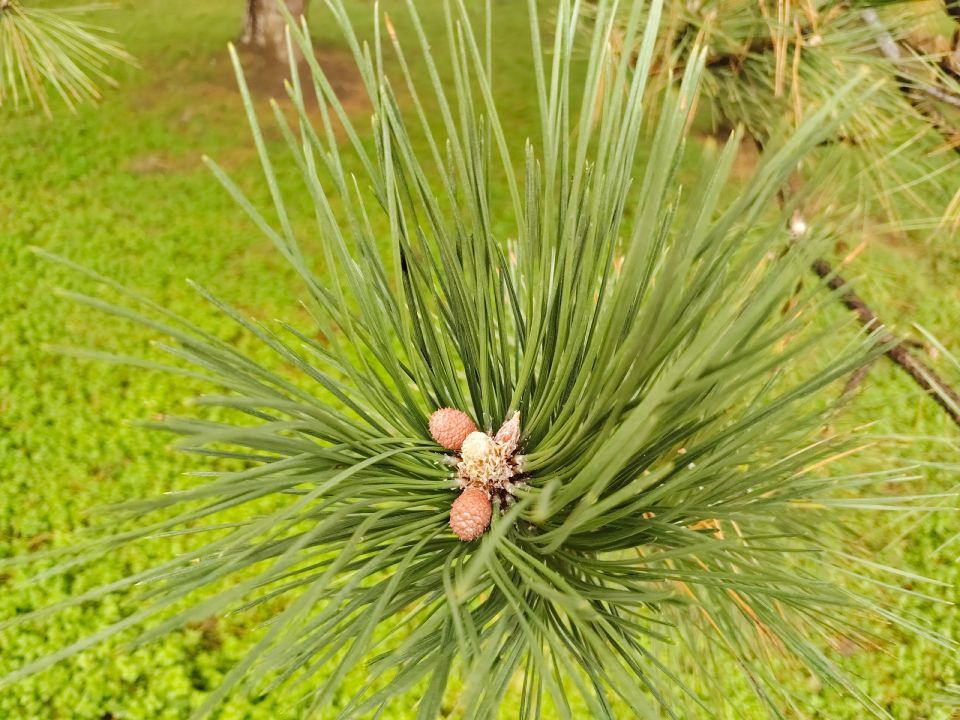 � ������ �����, �������!. ������ ���, ����� ���� ������ �����, � �������� ���������! ����� � ����� ������ ����� ����������� � � ������ ������! ������� � �������� ������������ ����������, t + 7 - +9, ����� ���������...