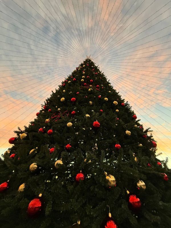 ����� ��������: ������� ����������