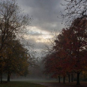 Какая погода ждёт жителей и гостей Крыма 13 декабря