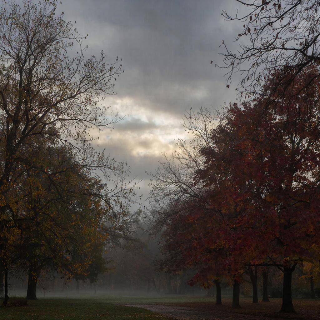 Какая погода ждёт жителей и гостей Крыма 13 декабря