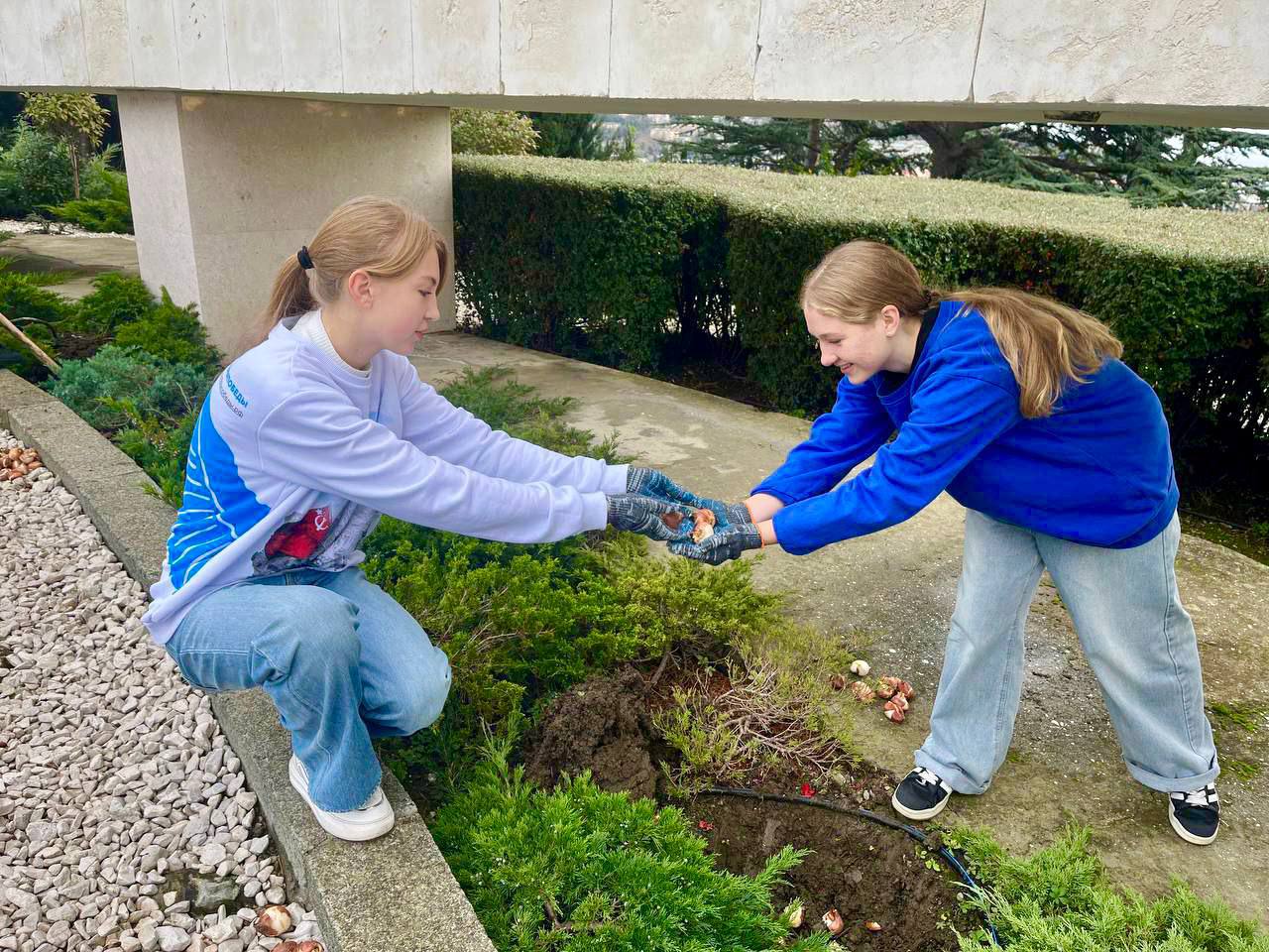 Волонтёры Победы Ялты продолжают совместную с МБУ «Зеленстрой» акцию «Цветы Памяти» - высадку цветов в честь героев Великой Отечественной войны и участников СВО! Волонтёры Победы Ялты продолжают совместную с МБУ «Зеленстрой» акцию «Цветы Памяти» - высадку цветов в честь героев Великой Отечественной войны и участников СВО!