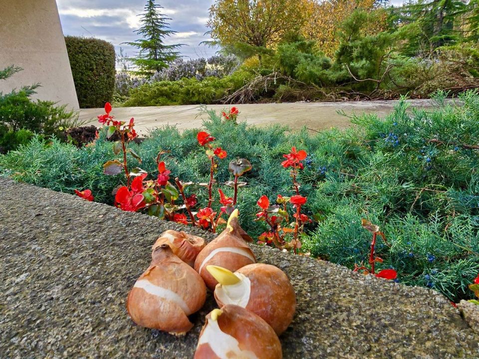 �������� ������ ���� ���������� ���������� � ��� ����������� ����� ������ ������ - ������� ������ � ����� ������ ������� ������������� ����� � ���������� ���!