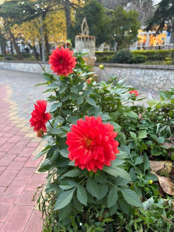 ������ ������: ������ ����, ������!. ������ ���������� ������ ������ �������, ����� �� ������ �������� ������ ��������