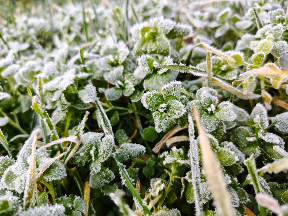 � ������ �����, �������!. ������, ����� ���� ��� ��� �����������, � ��������� �� ������������