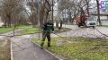 Продолжается регулярная работа по уходу за зелеными насаждениями
