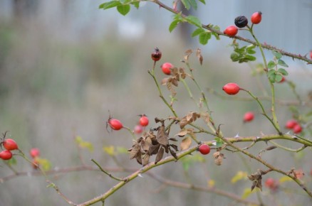 Доброе утро, Симферополь!. #симферополь #утро