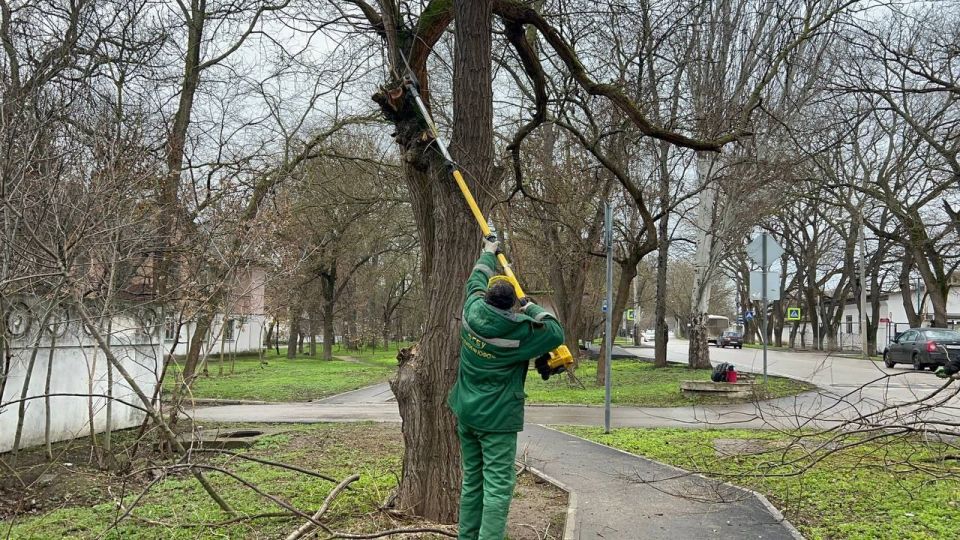 Продолжается регулярная работа по уходу за зелеными насаждениями Продолжается регулярная работа по уходу за зелеными насаждениями