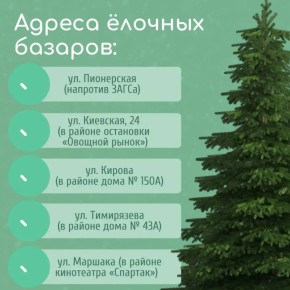 В Большой Ялте дан старт работе ёлочных базаров