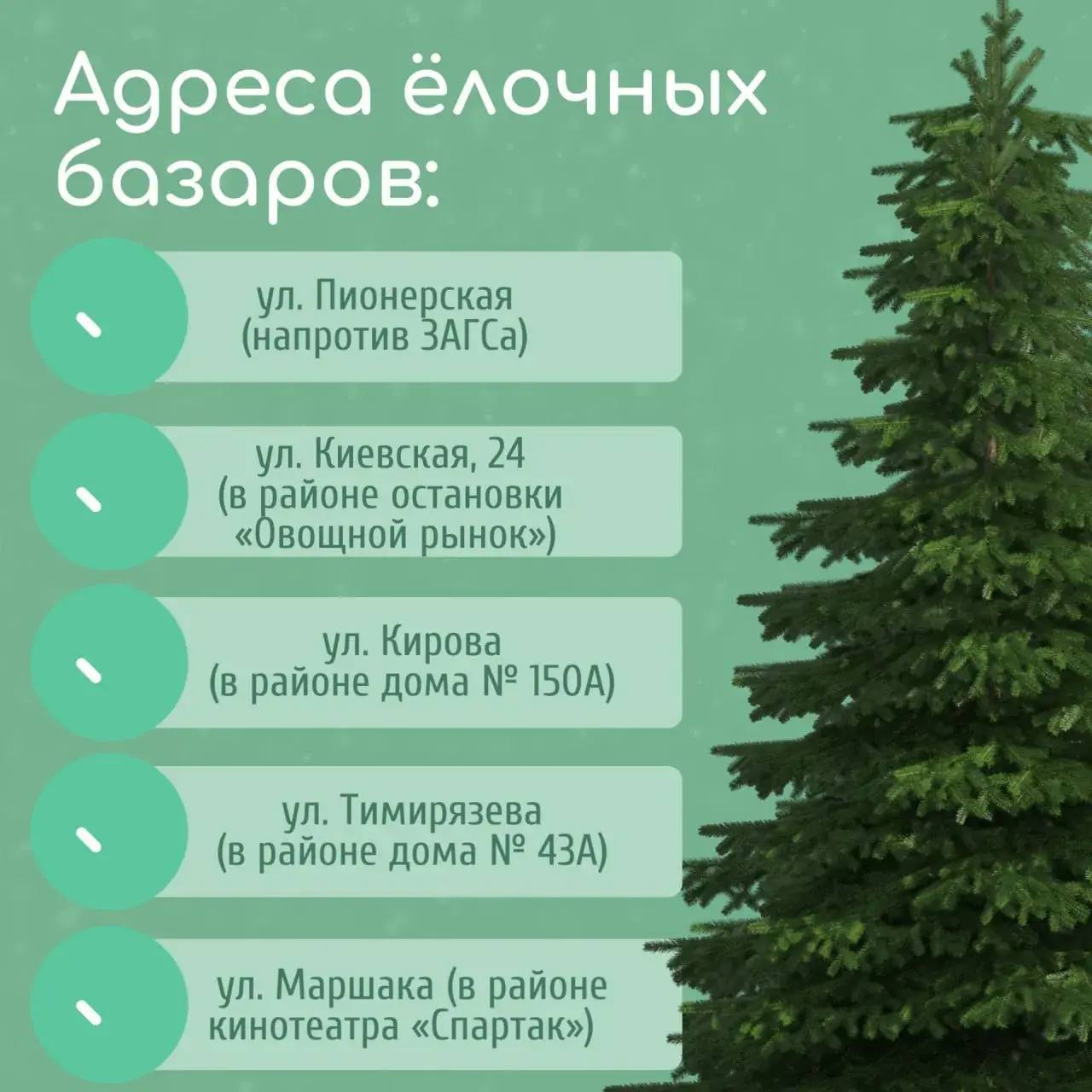 В Большой Ялте дан старт работе ёлочных базаров