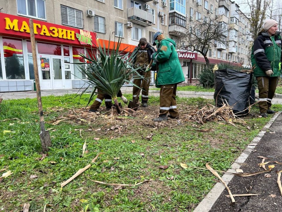 Продолжается регулярная работа по уходу за зелеными насаждениями Продолжается регулярная работа по уходу за зелеными насаждениями