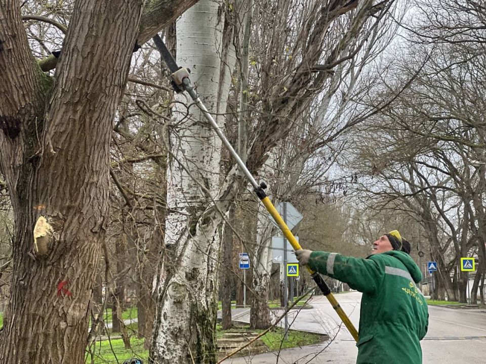 Продолжается регулярная работа по уходу за зелеными насаждениями Продолжается регулярная работа по уходу за зелеными насаждениями