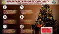 МЧС России - о правилах безопасности при установке новогодней ёлки: