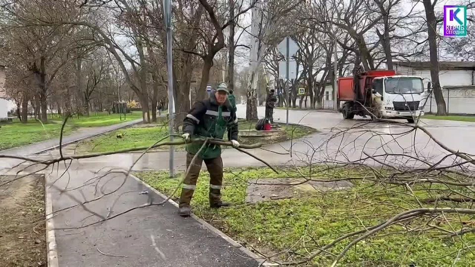Продолжается регулярная работа по уходу за зелеными насаждениями