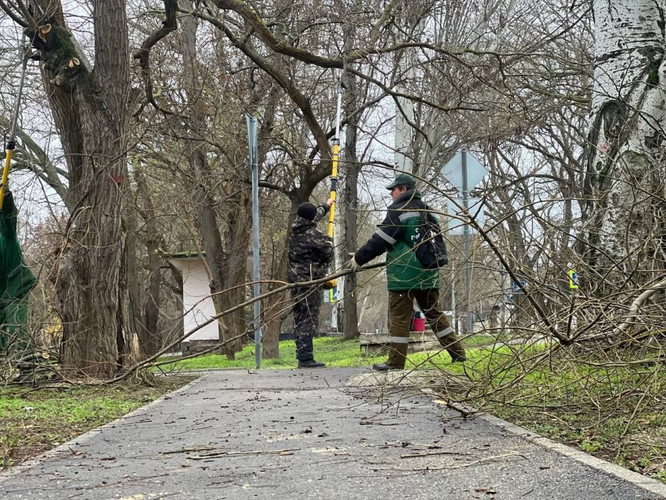 Продолжается регулярная работа по уходу за зелеными насаждениями Продолжается регулярная работа по уходу за зелеными насаждениями
