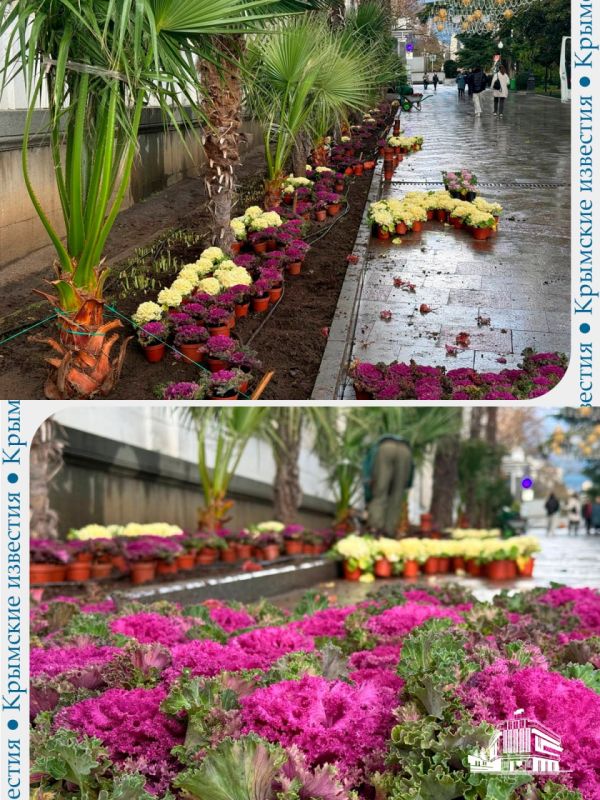 ����� ���� �������� ��������