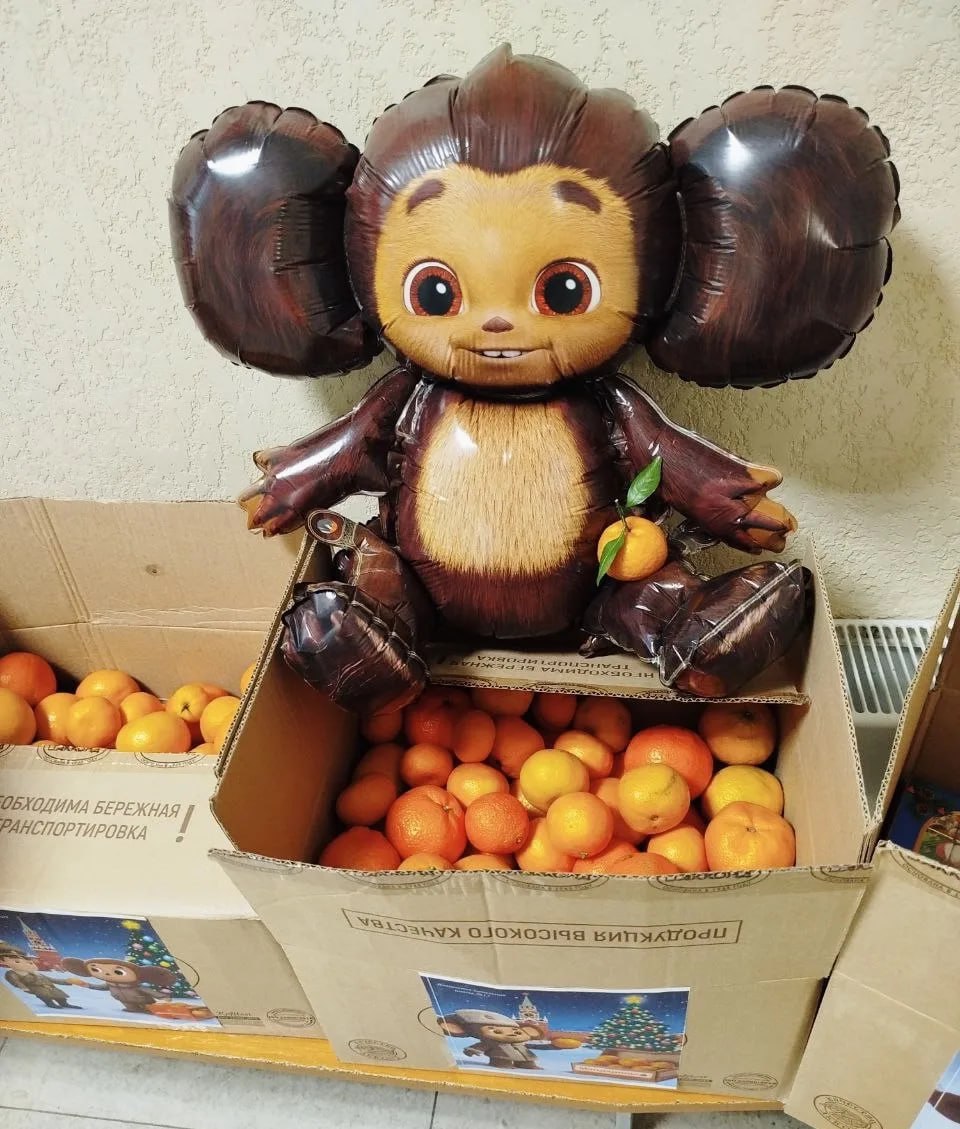 Янина Павленко: Дети Ялты собирают праздничные посылки для наших защитников, которые будет встречать Новый год вдали от дома Янина Павленко: Дети Ялты собирают праздничные посылки для наших защитников, которые будет встречать Новый год вдали от дома