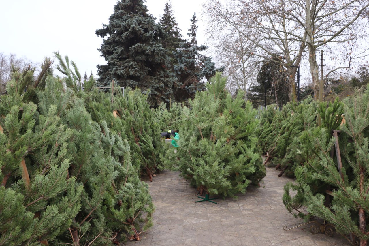Керчь готовится к Новому году Керчь готовится к Новому году