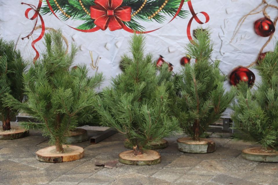 Керчь готовится к Новому году Керчь готовится к Новому году