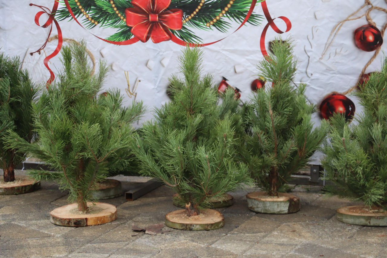 Керчь готовится к Новому году Керчь готовится к Новому году