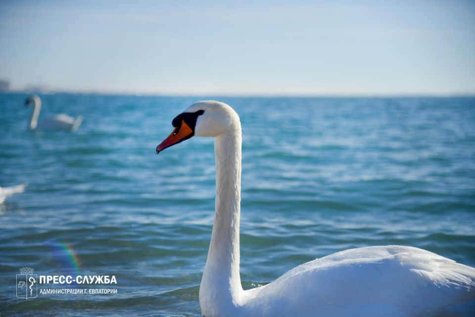 ������ ����, ���������!. ����������� ������� ���������� ������� �� +8��