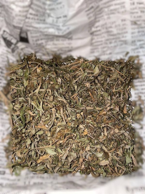 � ������� ������� ������ ���������� � ������� �� ���������� ������������ � �������� ����������