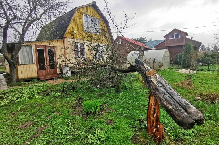 Юрий Нестеренко: Государственная Дума приняла во втором и третьем чтениях, предложенные нами изменения в статью 24 Федерального закона «О введении в действие Земельного кодекса РФ» об уточнении порядка предоставления...