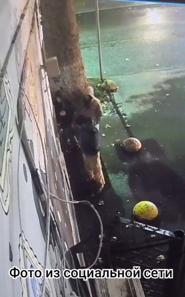 Симферопольские полицейские проводят проверку по выявленной публикации в сети Интернет