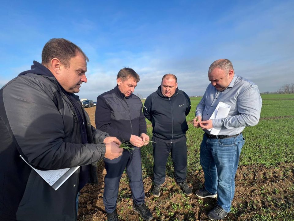 ���� �������: ������ ��������� ��������� ������ �������� ������� �� ����������������-���������������� ��������� �����