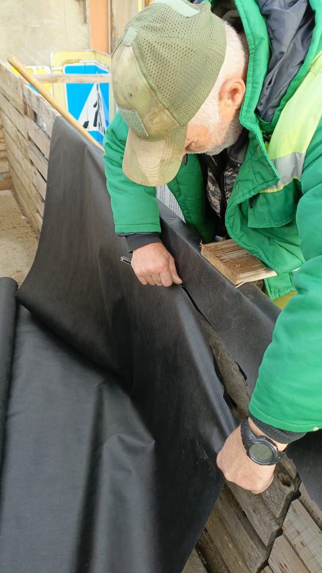 На Адмиральском бульваре стало больше деревьев На Адмиральском бульваре стало больше деревьев