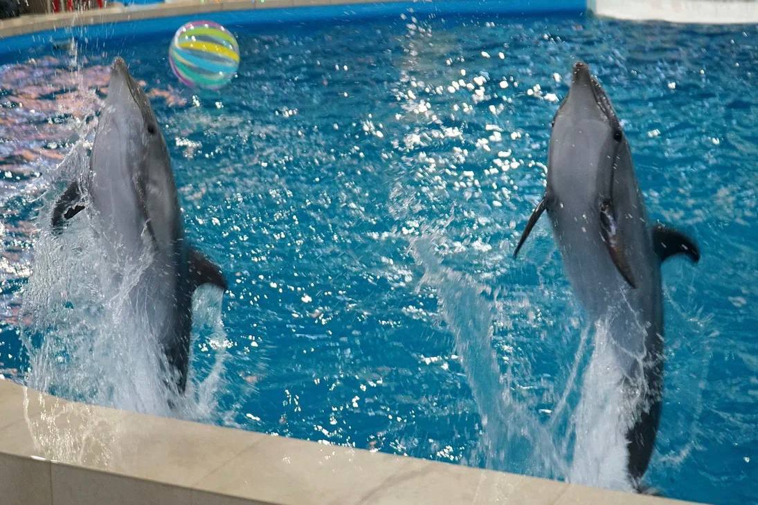 Александр Юрьев: Новый год и Рождество – время, когда сбываются мечты и происходят чудеса Александр Юрьев: Новый год и Рождество – время, когда сбываются мечты и происходят чудеса