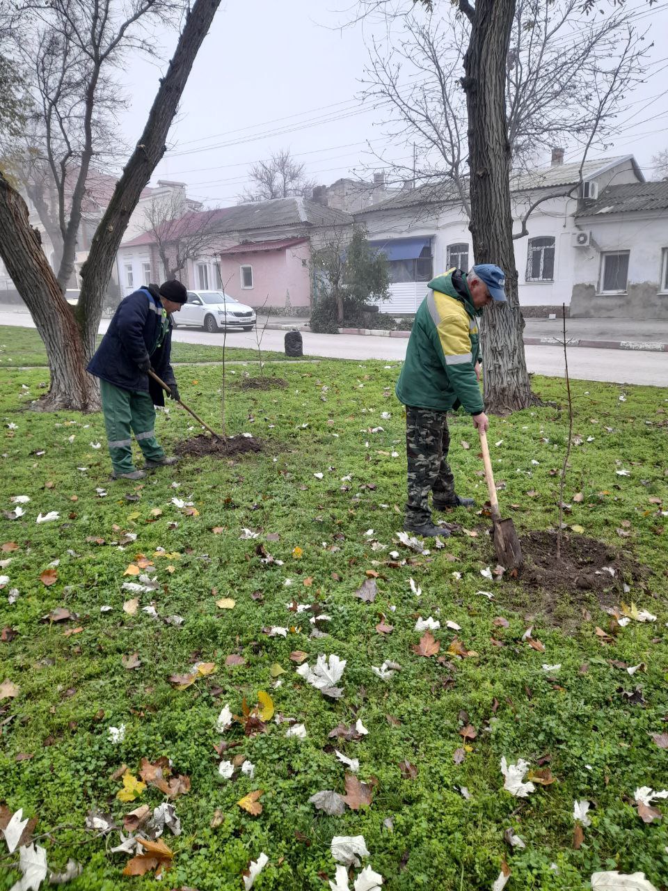 На Адмиральском бульваре стало больше деревьев На Адмиральском бульваре стало больше деревьев