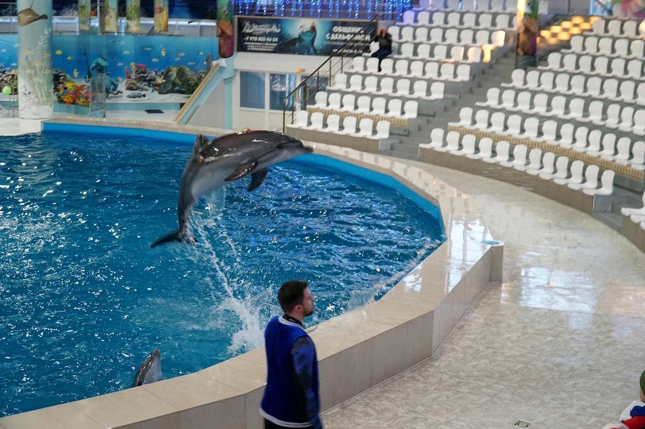 Александр Юрьев: Новый год и Рождество – время, когда сбываются мечты и происходят чудеса Александр Юрьев: Новый год и Рождество – время, когда сбываются мечты и происходят чудеса