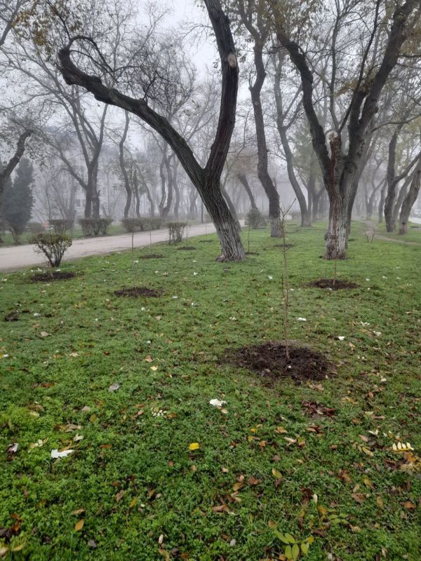 �� ������������ �������� ����� ������ ��������