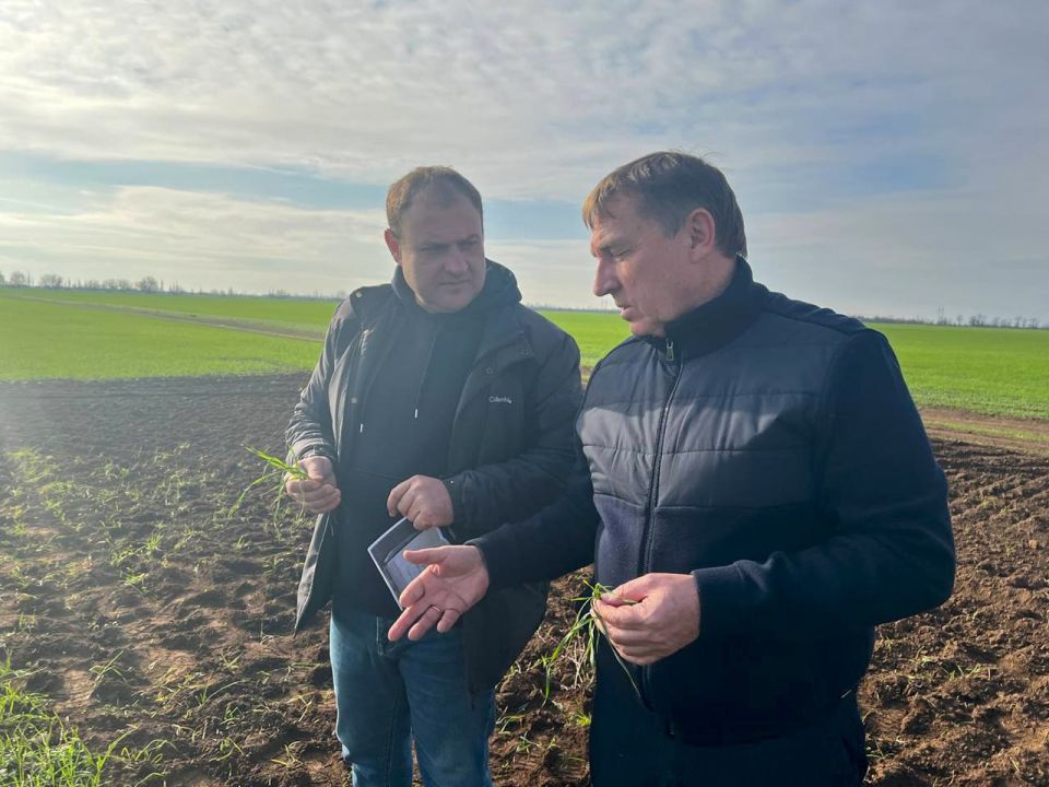 ���� �������: ������ ��������� ��������� ������ �������� ������� �� ����������������-���������������� ��������� �����