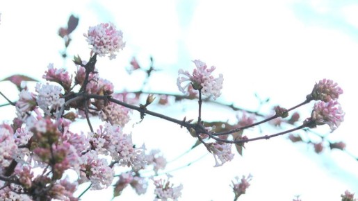 ������ ����, �����������!. #����������� #����