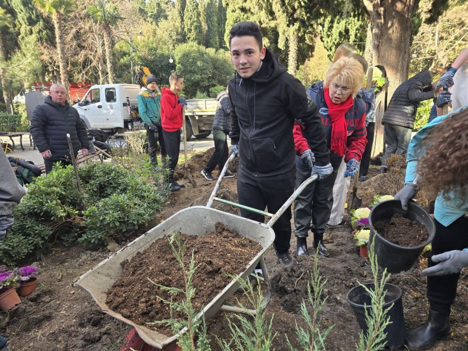 ����� ��������: ����������� ������ �������� �������������� ������ ��������� � ���������� �����