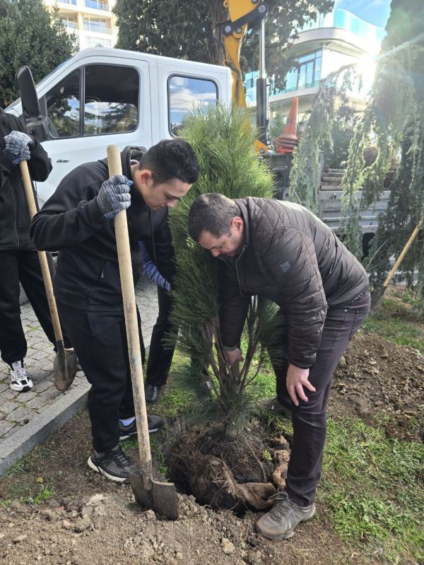 ����� ��������: ����������� ������ �������� �������������� ������ ��������� � ���������� �����