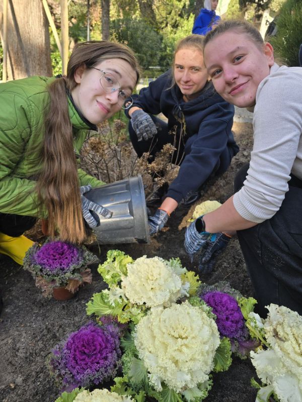 ����� ��������: ����������� ������ �������� �������������� ������ ��������� � ���������� �����