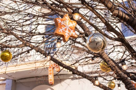 ������ ����!. #�����������