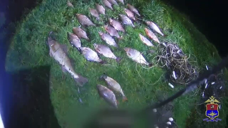 12345. �� ����� ���� ������ � ��������� ���� ��� � �������� ������� ������������ �������� ��������� ���������� ��������� ������ �������� 29 ������ ��������� �����, ����� ������� �������, �����, ������ � �����